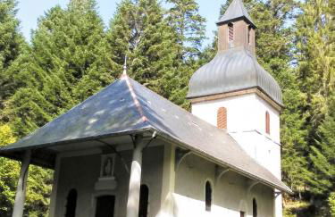 Les Coquelicots - Foto 13