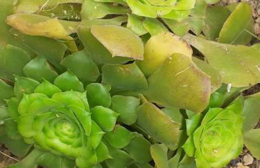 Casa Rural El Cabezo - Photo 23