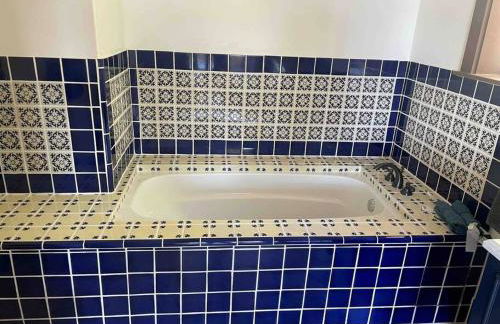 Hilltop Vineyard and Agave Field with View - Photo 25