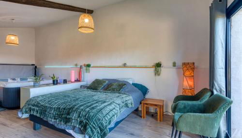 Chambre spa privé Arles campagne - Foto 3