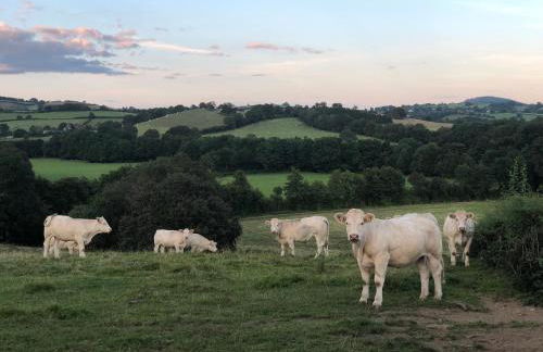 Maison Belle Vue - Foto 22