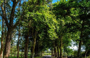 Azor Eco Lodge - Photo 21