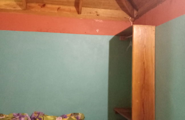 Berkey's Jungle Paradise - Photo 11