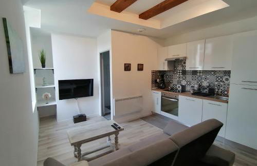 Jungle Zen Beau T2 avec jardin Gare 100m - Foto 1