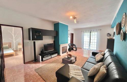 Andorinha Levante - Foto 2