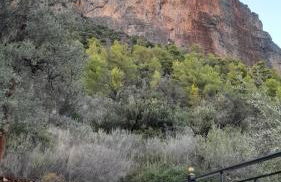 George house - Photo 27