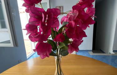 Villa Il Sorriso Capri centro - Foto 2