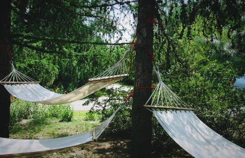 Agroturystyka Pod Modrzewiami - Foto 62