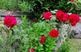 Casa ai piedi del monte Camicia - Photo 6