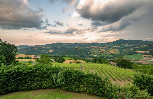 Castello Montesasso - Foto 20