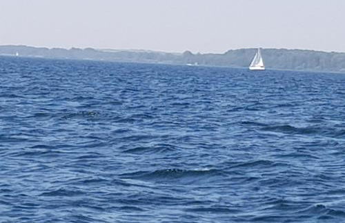 Störmthal Ferienwohnung 1 Sonnenweg - Foto 13