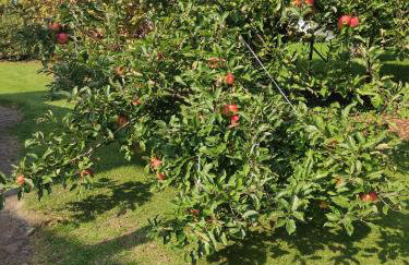 Hamburg-Rahlstedt, klein aber sehr fein, ILS-nah - Foto 24