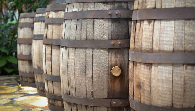 Tule & Teotitlán del Valle Day Trip + Mezcal Distillery - Foto 4