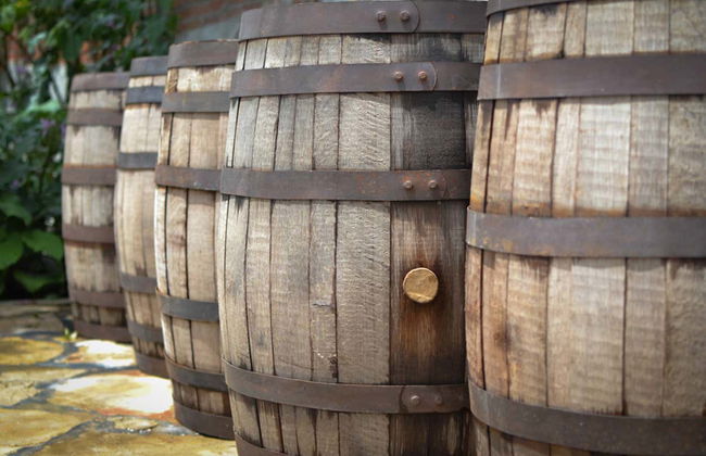 Tule & Teotitlán del Valle Day Trip + Mezcal Distillery - Foto 4