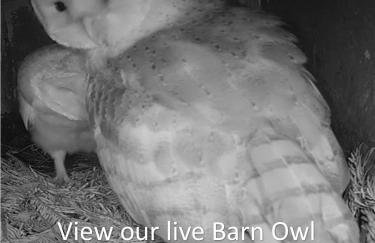 The Udderhouse - Udderly Unforgettable Retreat - Foto 19