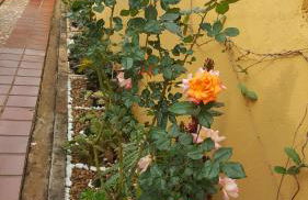 Yolanda Family House - Foto 27