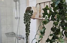 Gîte la Doucette proche des Cascades - Photo 31