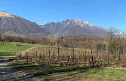 Casa Rosetta - Foto 7