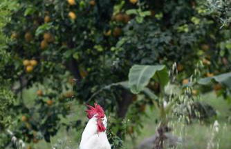 Agriturismo San Leonardello - Foto 108