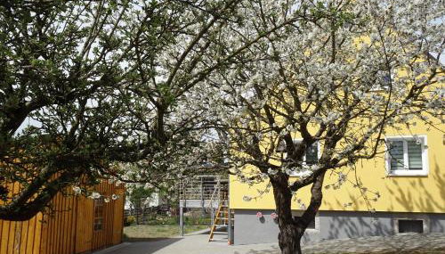 Fichtelhaisla - Foto 4