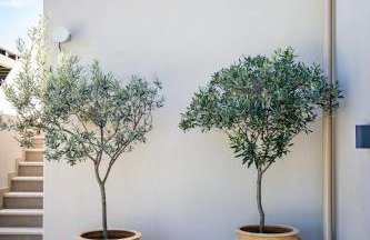 Villa Politimi Luxury Retreat - Foto 46