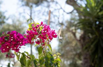 Casa Tereza - Foto 63