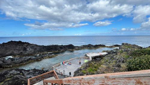 Ocidente House - Foto 2