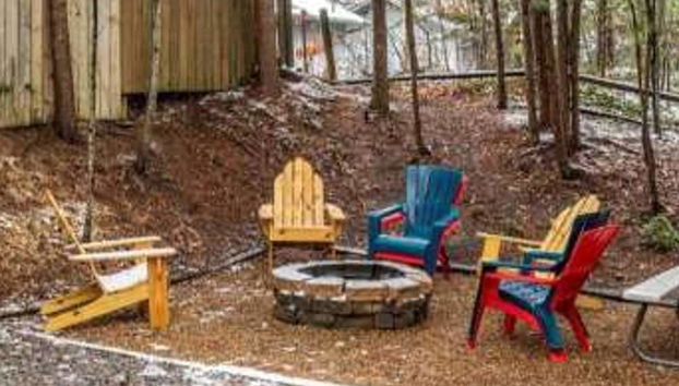 A Charming Cabin Pool Firepit Hot Tub-jacuzzi - Foto 5, Zona de parrillas o pícnic