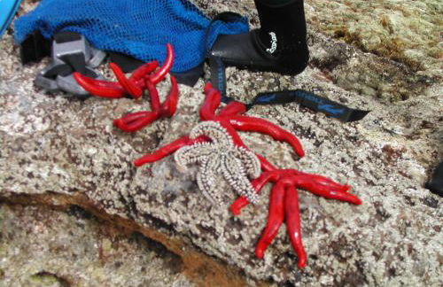 Casa do Maranhão - Nature & Views Experience - Foto 45