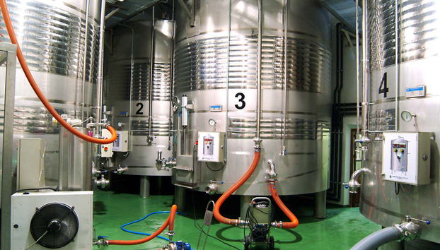 Cave à vin Campos de Dulcinea