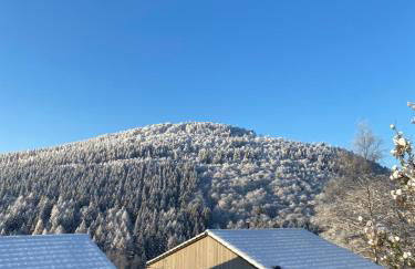 Sauerland Lodge - Haus Juliana - Foto 1