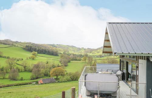 Barcud Coch - Red Kite - Photo 1