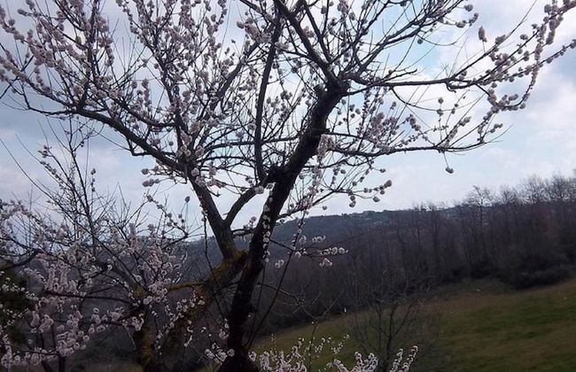 Agriturismo Norianino - Photo 30