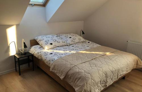 Apartamenty Asturia Rymanów Zdrój - Foto 24