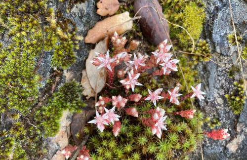 Monte das Sesmarias - Foto 16