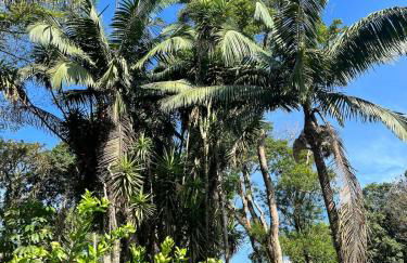 Chácara Casa Amarela - estrutura completa de lazer - ambientes elegantes e exclusivos - campo de futebol e bocha - piscina - lareiras - 10 min Rota do Vinho - Foto 38