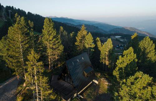 LUXE VISTA Mountain Chalet Cermis - mitten auf der Alm und Skipiste - Foto 36