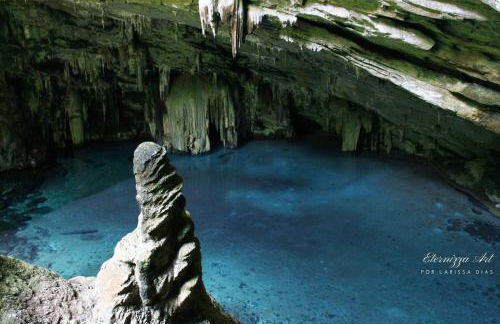 CASA PE DE PEQUI - Foto 16