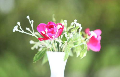 Aparthotel Alpenpark - Foto 24