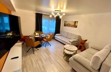 2 Zimmer Wohnung mit Garten - Foto 14