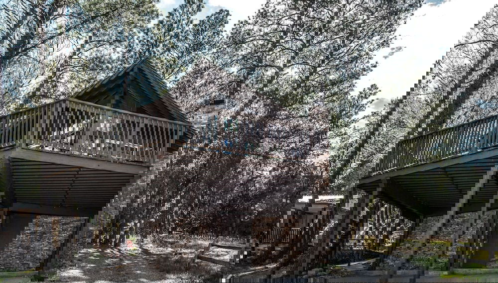 Bear Cave by Vtrips - Foto 1, Imagen principal