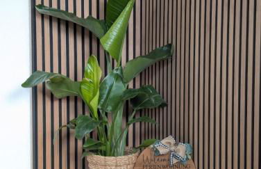 Ferienwohnung Molly - Foto 6