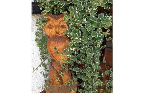 Holiday Apartment Schupp - Foto 65