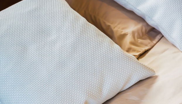 Colonial Wolf Oasis - Foto 3, Zimmer