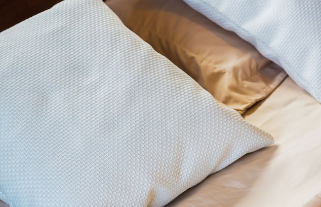 Colonial Wolf Oasis - Foto 3