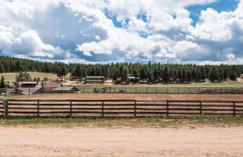 New! Adorable Cabin in Colorado National Forest - Foto 25