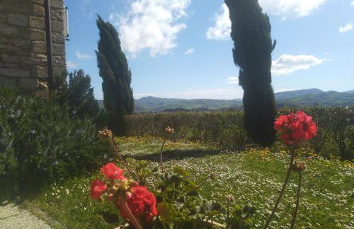 appartamento Colticciola Agriturismo Marche - Foto 12