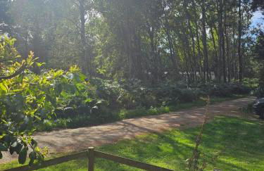 Fawn Lodge, Kelling Heath - Woodland Setting and Pets Welcome - Photo 36