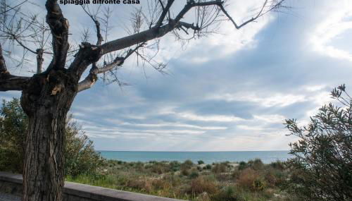 Verde oleandro & Blu mare - Foto 3