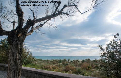 Verde oleandro & Blu mare - Foto 3